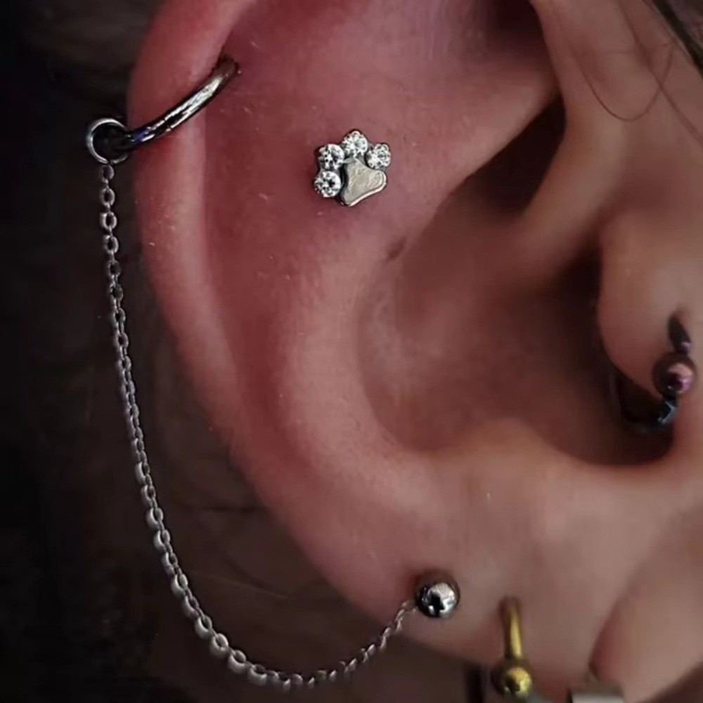 Titanium Nose Chain Three Laye - Body Jewelry Titanium review and price